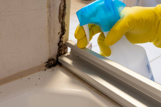 Best Crawl Space Mold Removal  in Wrens, GA