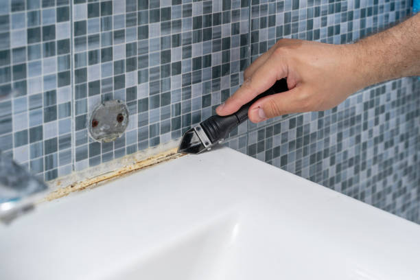 Best Attic Mold Removal  in Wrens, GA