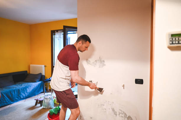 Best Fast Mold Removal  in Wrens, GA